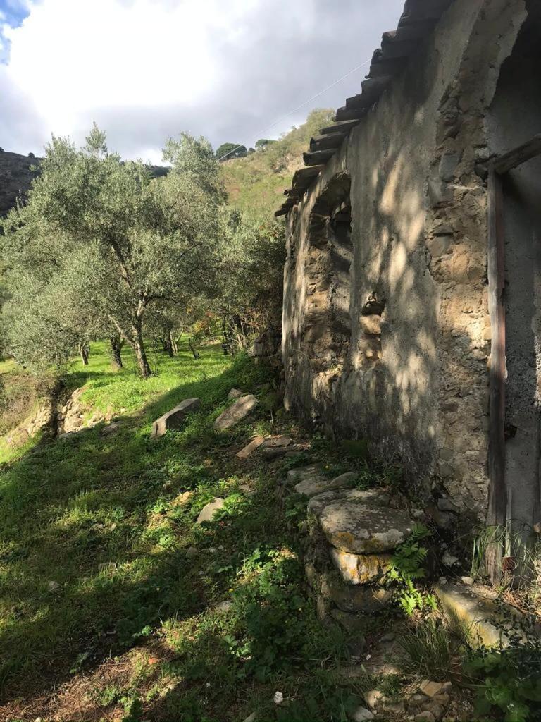 La Pergola Dei Paggi Villa Sestri Levante Ngoại thất bức ảnh